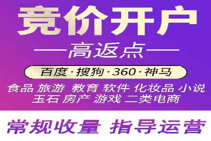 案例研究：竞价广告助力企业品牌升级